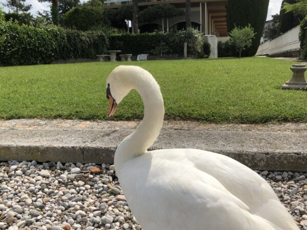 sunset apartment 11 sunset apartment 11