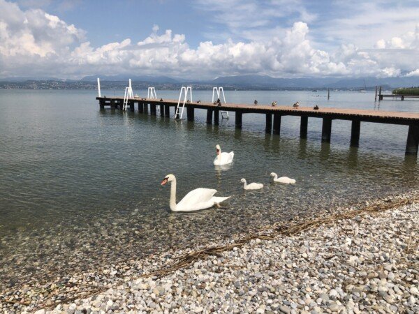 sunset apartment 27 sunset apartment 27