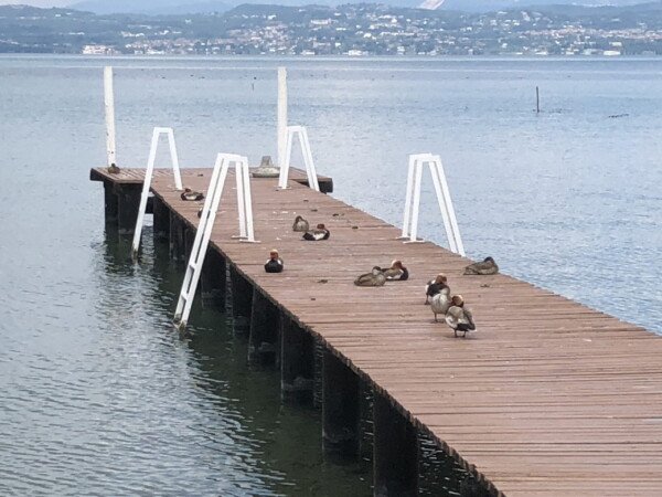 sunset apartment 28 sunset apartment 28